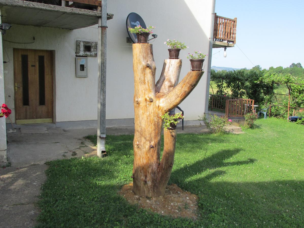 Country House Roman Doboj Buitenkant foto